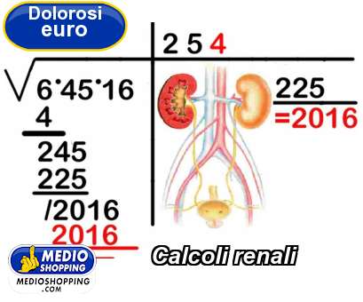 Medioshopping Calcoli renali