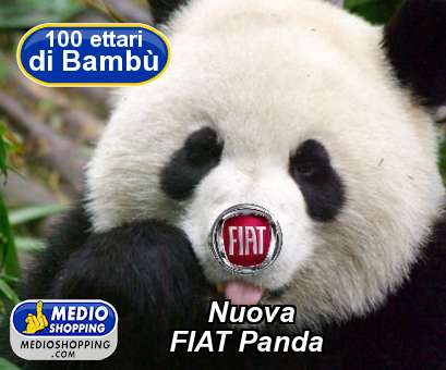 Nuova      FIAT Panda
