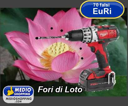 Medioshopping Fori di Loto