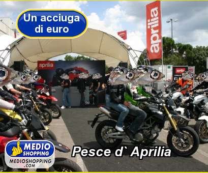 Medioshopping Pesce d` Aprilia