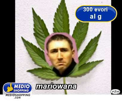 Medioshopping mariowana