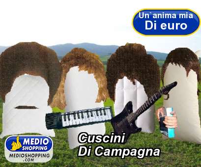 Medioshopping Cuscini Di Campagna