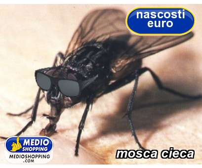 Medioshopping mosca cieca