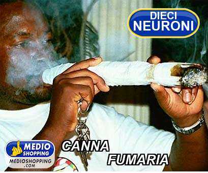 Medioshopping CANNA                FUMARIA