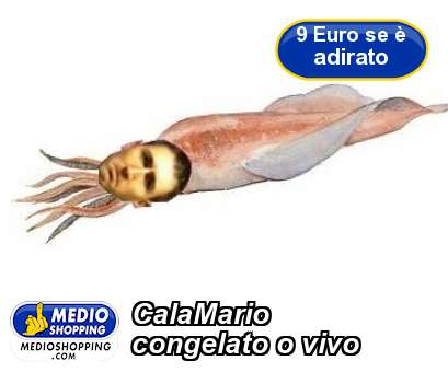 Medioshopping CalaMario  congelato o vivo