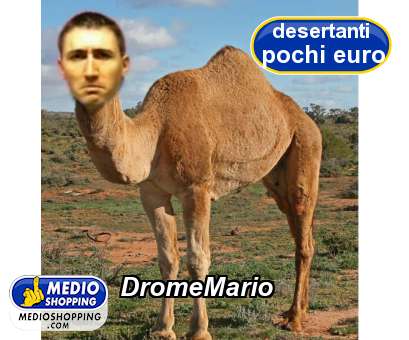 Medioshopping DromeMario