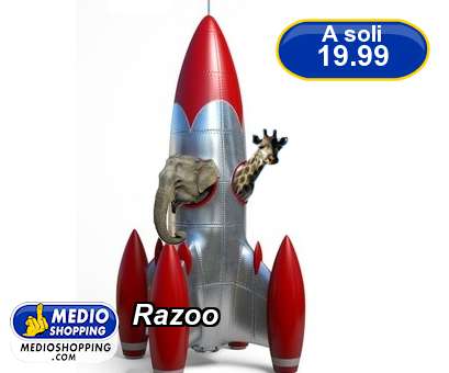 Razoo