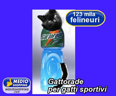 Medioshopping Gattorade per gatti sportivi