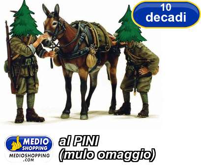 Medioshopping al PINI (mulo omaggio)