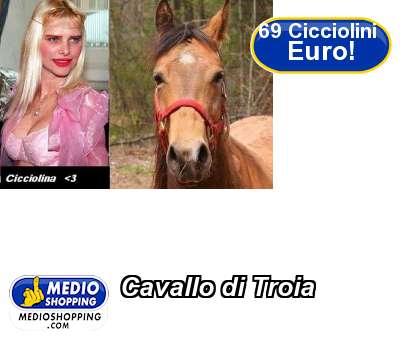 Medioshopping Cavallo di Troia