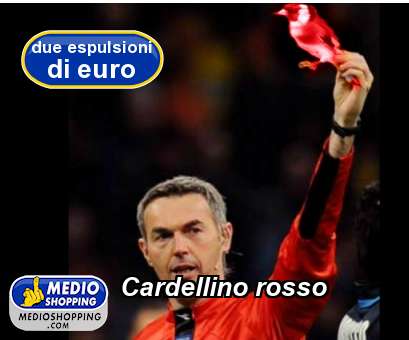 Medioshopping Cardellino rosso