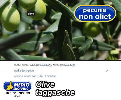 Medioshopping Olive taggasche