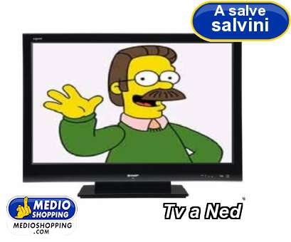 Medioshopping Tv a Ned