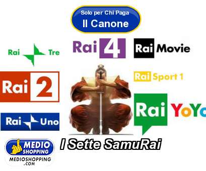 Medioshopping I Sette SamuRai