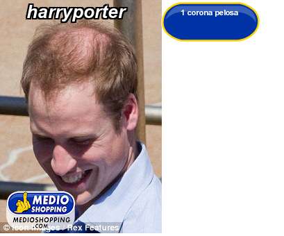 Medioshopping harryporter