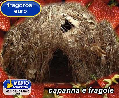 Medioshopping capanna e fragole