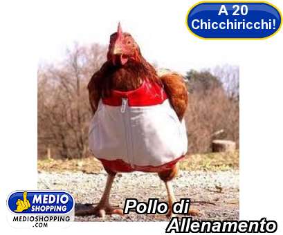 Medioshopping Pollo di          Allenamento