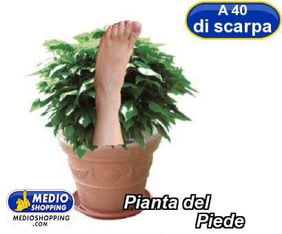 Medioshopping Pianta del                Piede