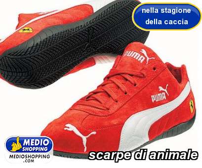 Medioshopping scarpe di animale