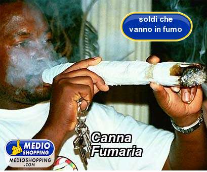 Medioshopping Canna Fumaria