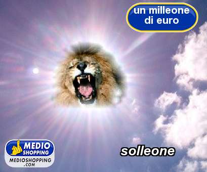 Medioshopping solleone