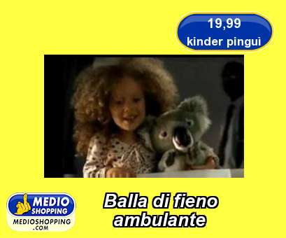 Medioshopping Balla di fieno        ambulante