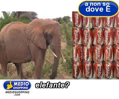 elefante?