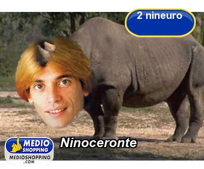 Ninoceronte