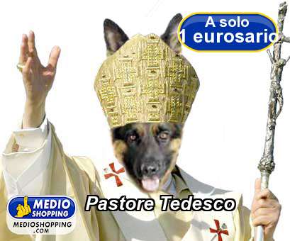 Medioshopping Pastore Tedesco