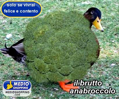 Medioshopping il brutto          anabroccolo