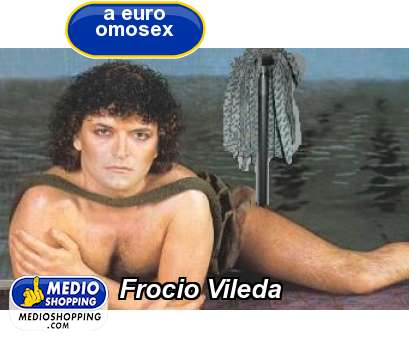 Medioshopping Frocio Vileda