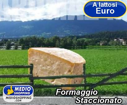 Medioshopping Formaggio          Staccionato