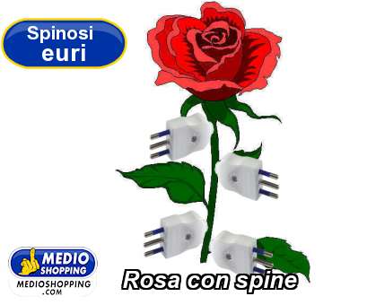 Rosa con spine