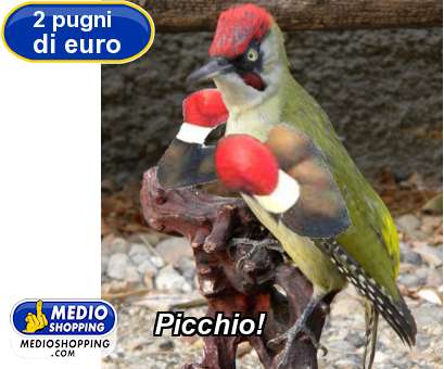 Picchio!