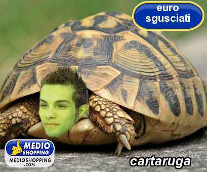 Medioshopping cartaruga