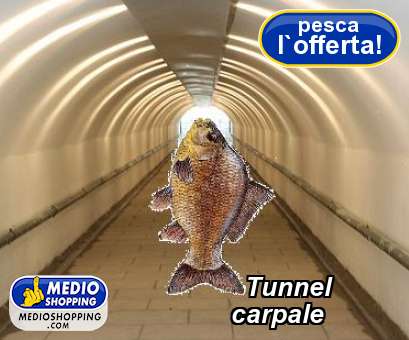 Tunnel           carpale