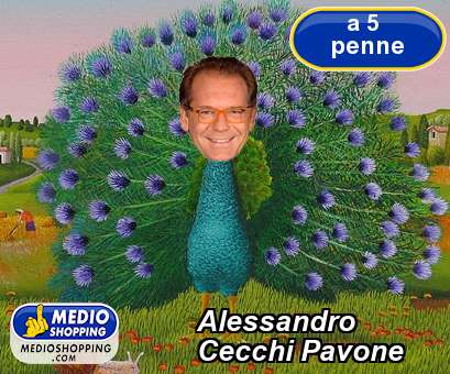 Medioshopping Alessandro Cecchi Pavone