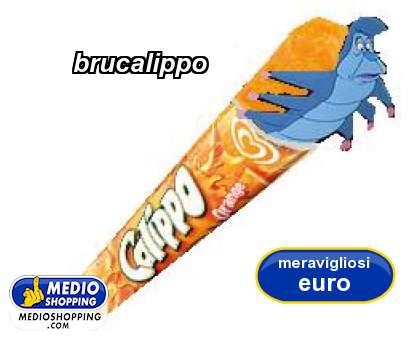 brucalippo