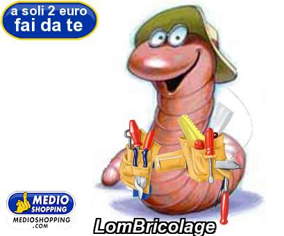 Medioshopping LomBricolage