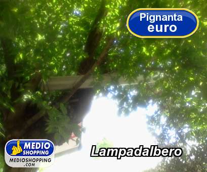 Medioshopping Lampadalbero