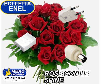 Medioshopping ROSE CON LE SPINE