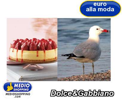 Dolce&Gabbiano