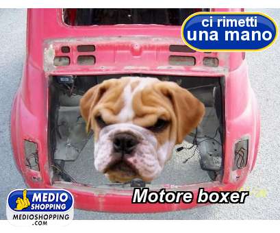 Medioshopping Motore boxer