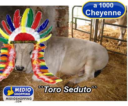 Medioshopping ``Toro Seduto``