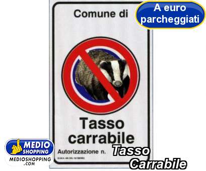 Medioshopping Tasso             Carrabile