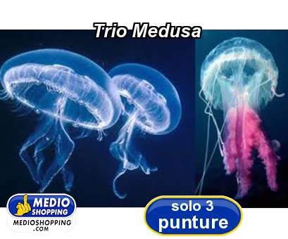 Medioshopping Trio Medusa