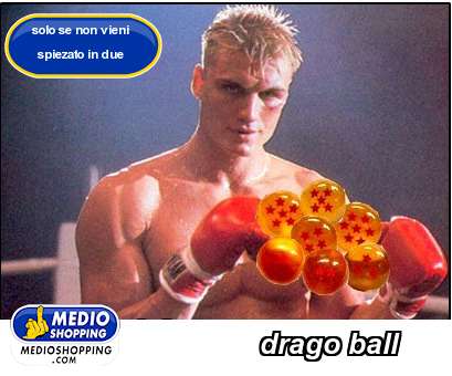 Medioshopping drago ball