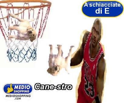 Medioshopping Cane-stro