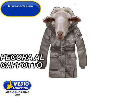 Medioshopping PECORA AL  CAPPOTTO