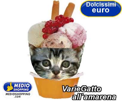 Medioshopping VarieGatto          all`amarena